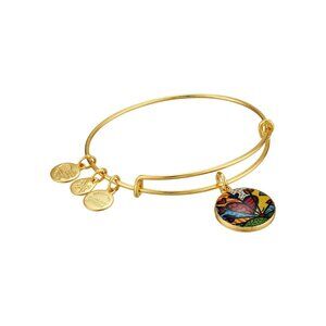 Alex and Ani Romero Britto Art Infusion Bracelet: A New Day